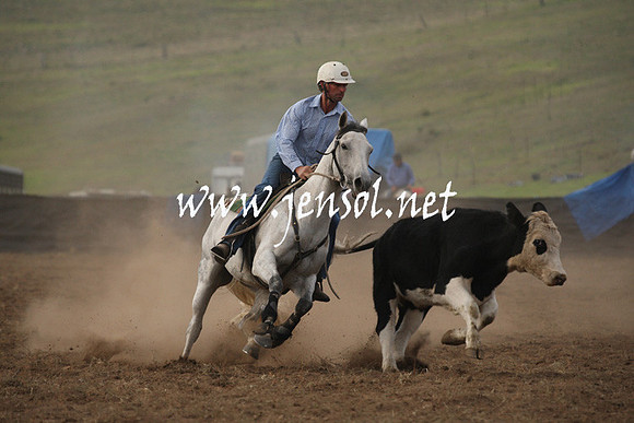 CabanandraCampdraft2013_1D_0118