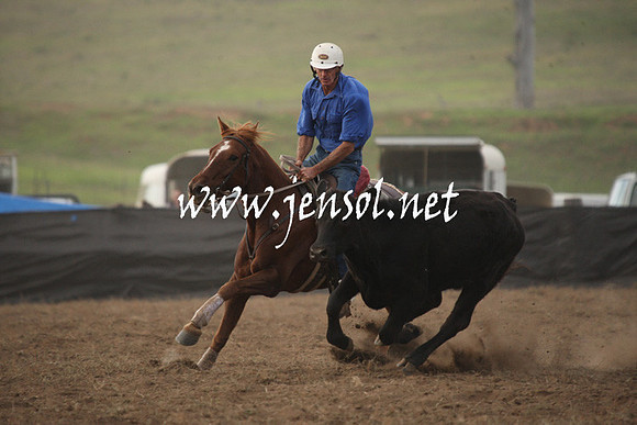 CabanandraCampdraft2013_1D_0110
