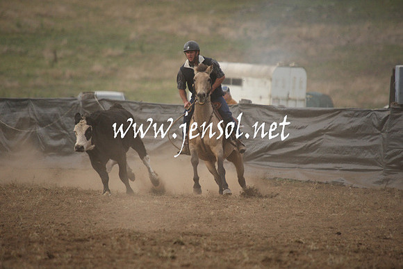 CabanandraCampdraft2013_1D_0084