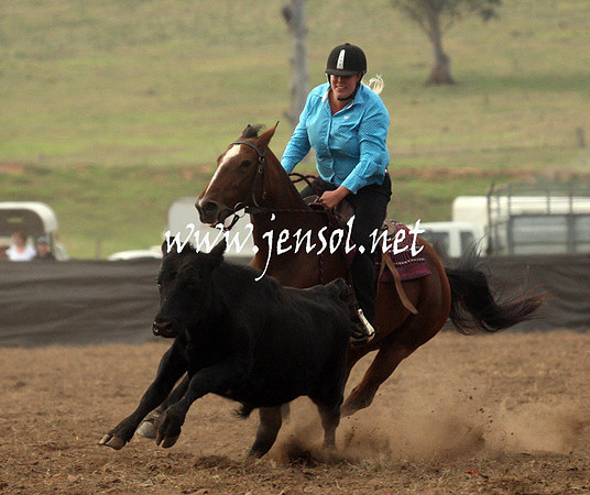 CabanandraCampdraft2013_1D_0075