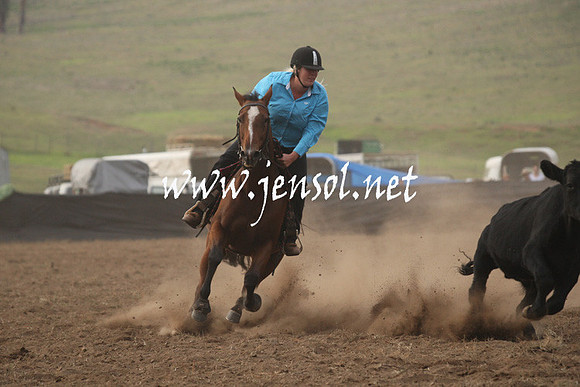 CabanandraCampdraft2013_1D_0083