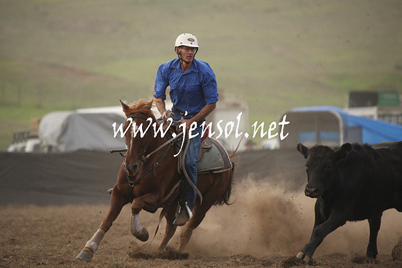 CabanandraCampdraft2013_1D_0113