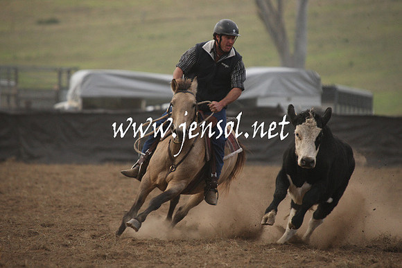 CabanandraCampdraft2013_1D_0094