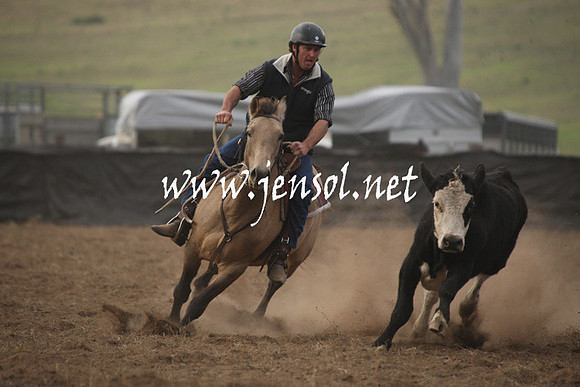 CabanandraCampdraft2013_1D_0093