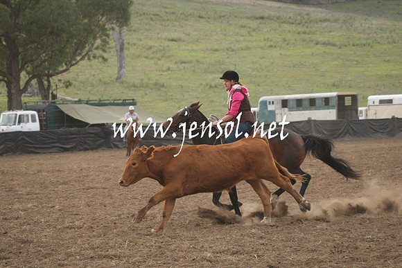 CabanandraCampdraft2013_1D_0106