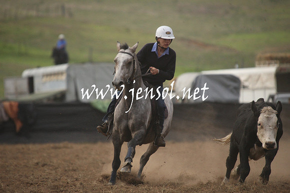 CabanandraCampdraft2013_1D_0066