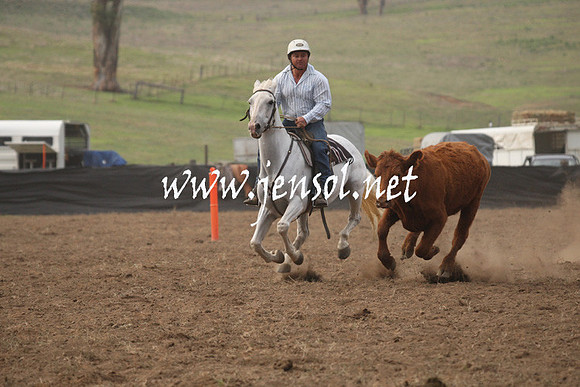 CabanandraCampdraft2013_1D_0035