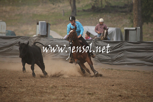 CabanandraCampdraft2013_1D_0070
