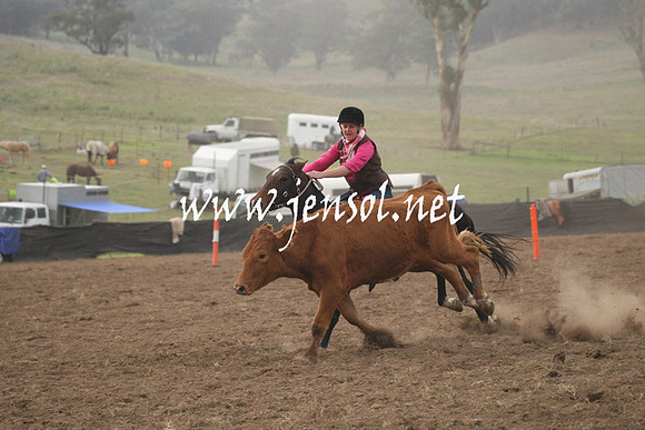 CabanandraCampdraft2013_1D_0104