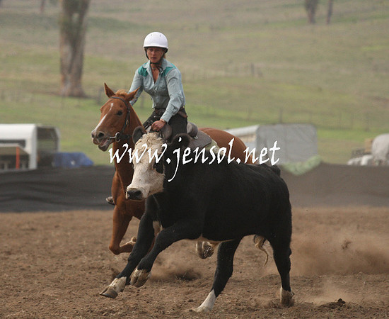 CabanandraCampdraft2013_1D_0058