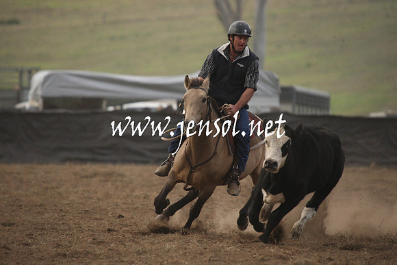 CabanandraCampdraft2013_1D_0092