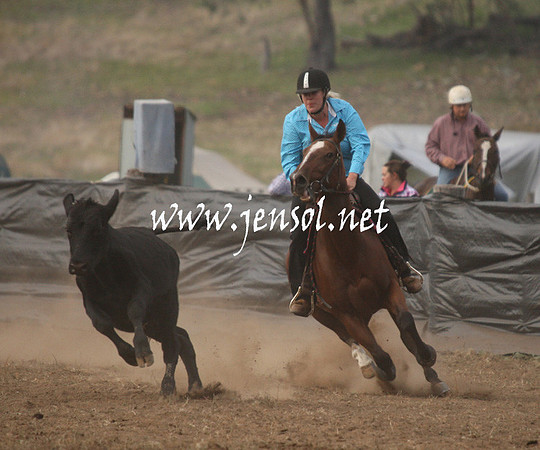 CabanandraCampdraft2013_1D_0069