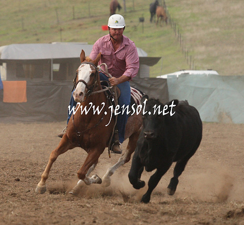 CabanandraCampdraft2013_1D_0023