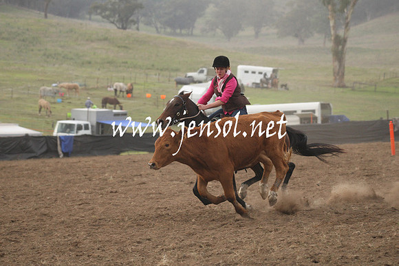 CabanandraCampdraft2013_1D_0102