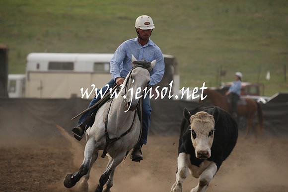 CabanandraCampdraft2013_1D_0123