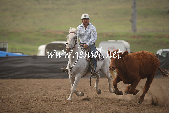 CabanandraCampdraft2013_1D_0032