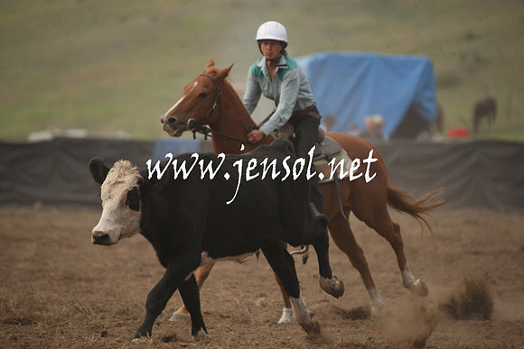 CabanandraCampdraft2013_1D_0057