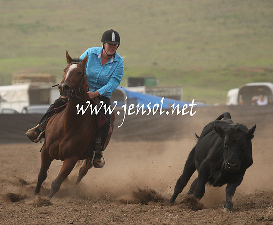 CabanandraCampdraft2013_1D_0081