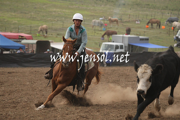CabanandraCampdraft2013_1D_0063