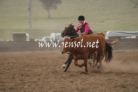 CabanandraCampdraft2013_1D_0099