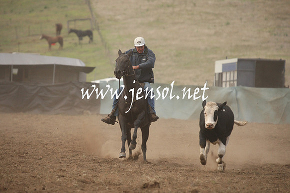 CabanandraCampdraft2013_1D_0044