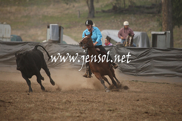 CabanandraCampdraft2013_1D_0071