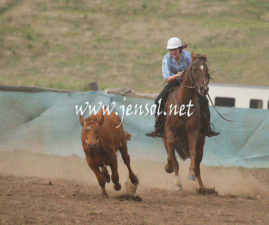 CabanandraCampdraft2013_1D_0016