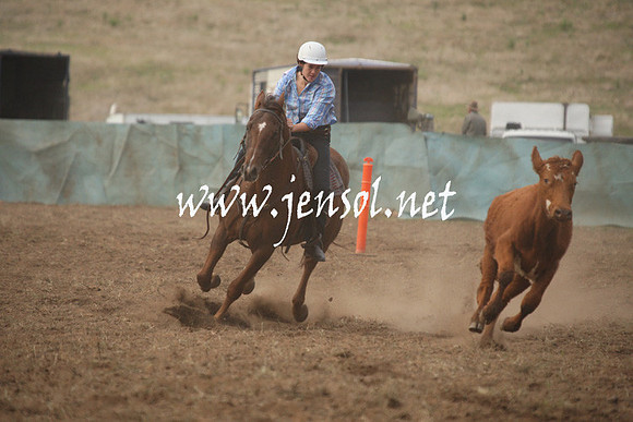 CabanandraCampdraft2013_1D_0021