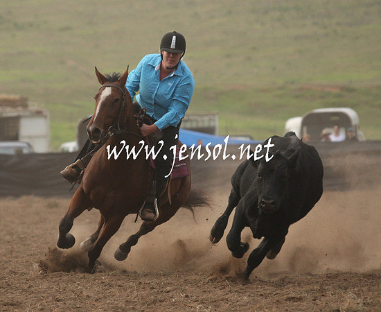 CabanandraCampdraft2013_1D_0077