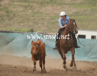 CabanandraCampdraft2013_1D_0015
