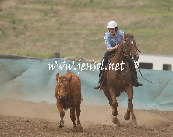 CabanandraCampdraft2013_1D_0015