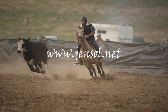 CabanandraCampdraft2013_1D_0086