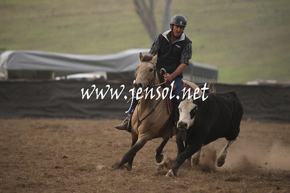 CabanandraCampdraft2013_1D_0091