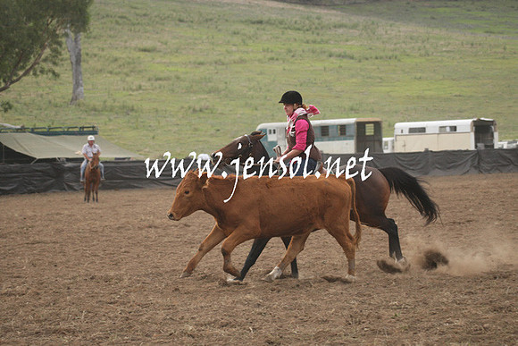 CabanandraCampdraft2013_1D_0103