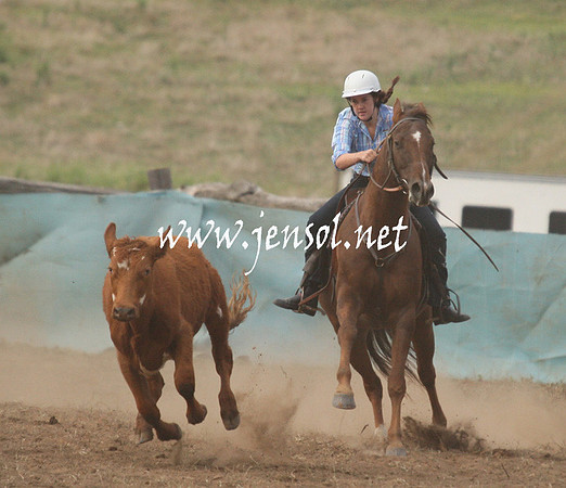 CabanandraCampdraft2013_1D_0017