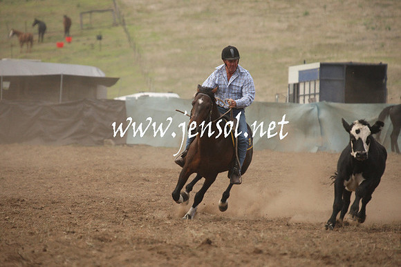CabanandraCampdraft2013_1D_0048