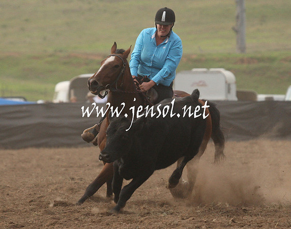 CabanandraCampdraft2013_1D_0079