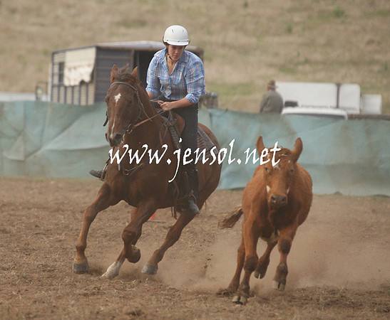 CabanandraCampdraft2013_1D_0018