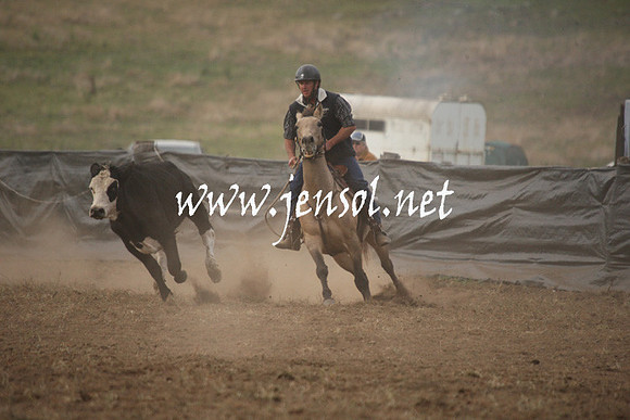CabanandraCampdraft2013_1D_0085