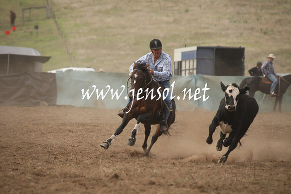 CabanandraCampdraft2013_1D_0047
