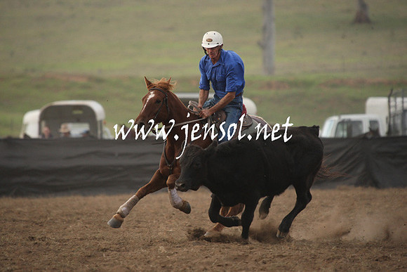 CabanandraCampdraft2013_1D_0109