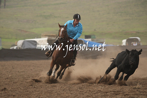 CabanandraCampdraft2013_1D_0082