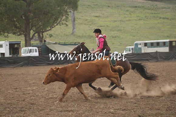 CabanandraCampdraft2013_1D_0107