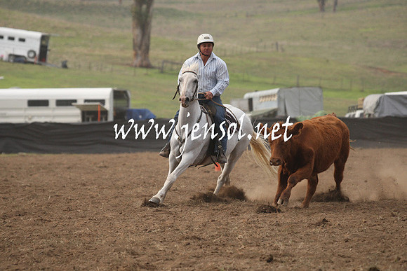 CabanandraCampdraft2013_1D_0038