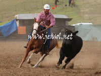 CabanandraCampdraft2013_1D_0024