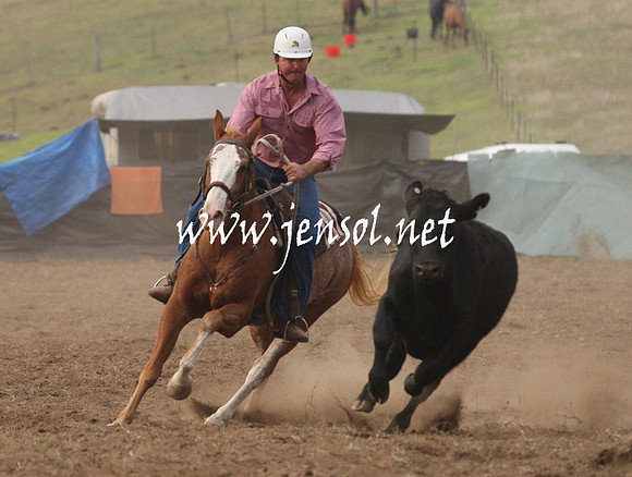 CabanandraCampdraft2013_1D_0024