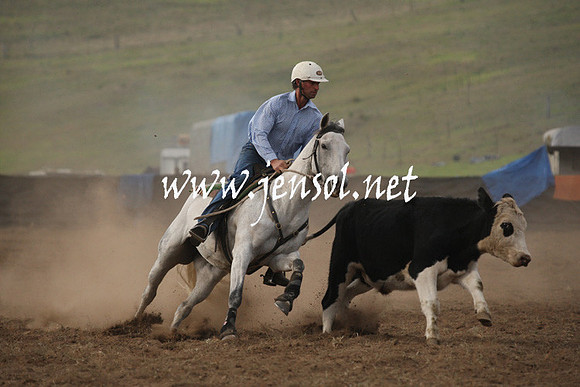 CabanandraCampdraft2013_1D_0122