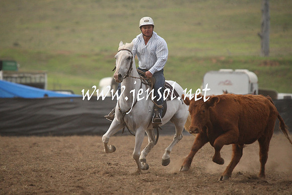 CabanandraCampdraft2013_1D_0037
