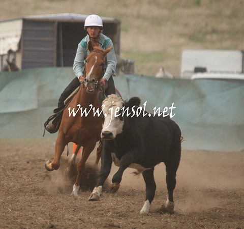 CabanandraCampdraft2013_1D_0051
