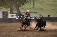CabanandraCampdraft2013_1D_0006